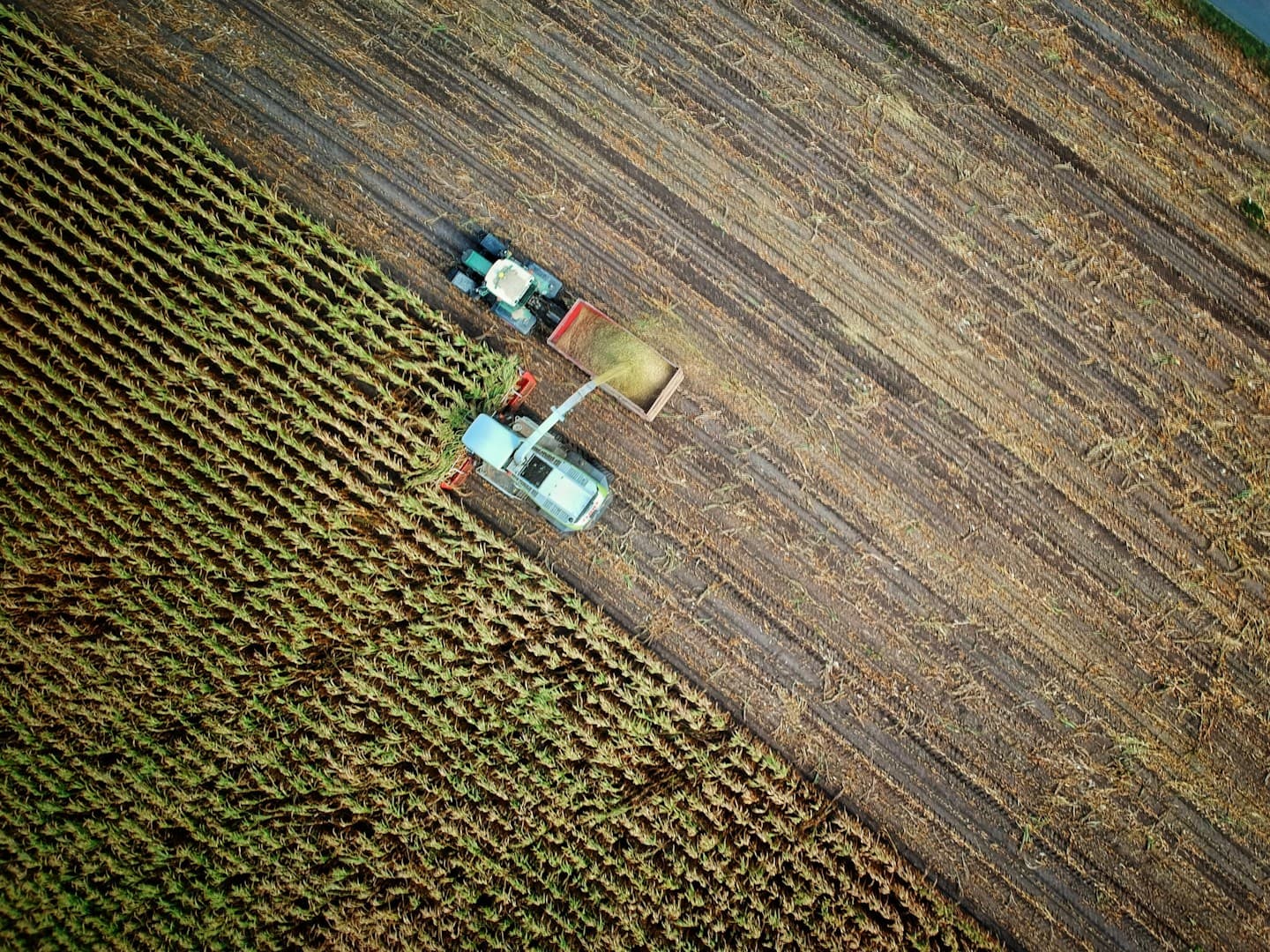 tractor harvesting crops in a field