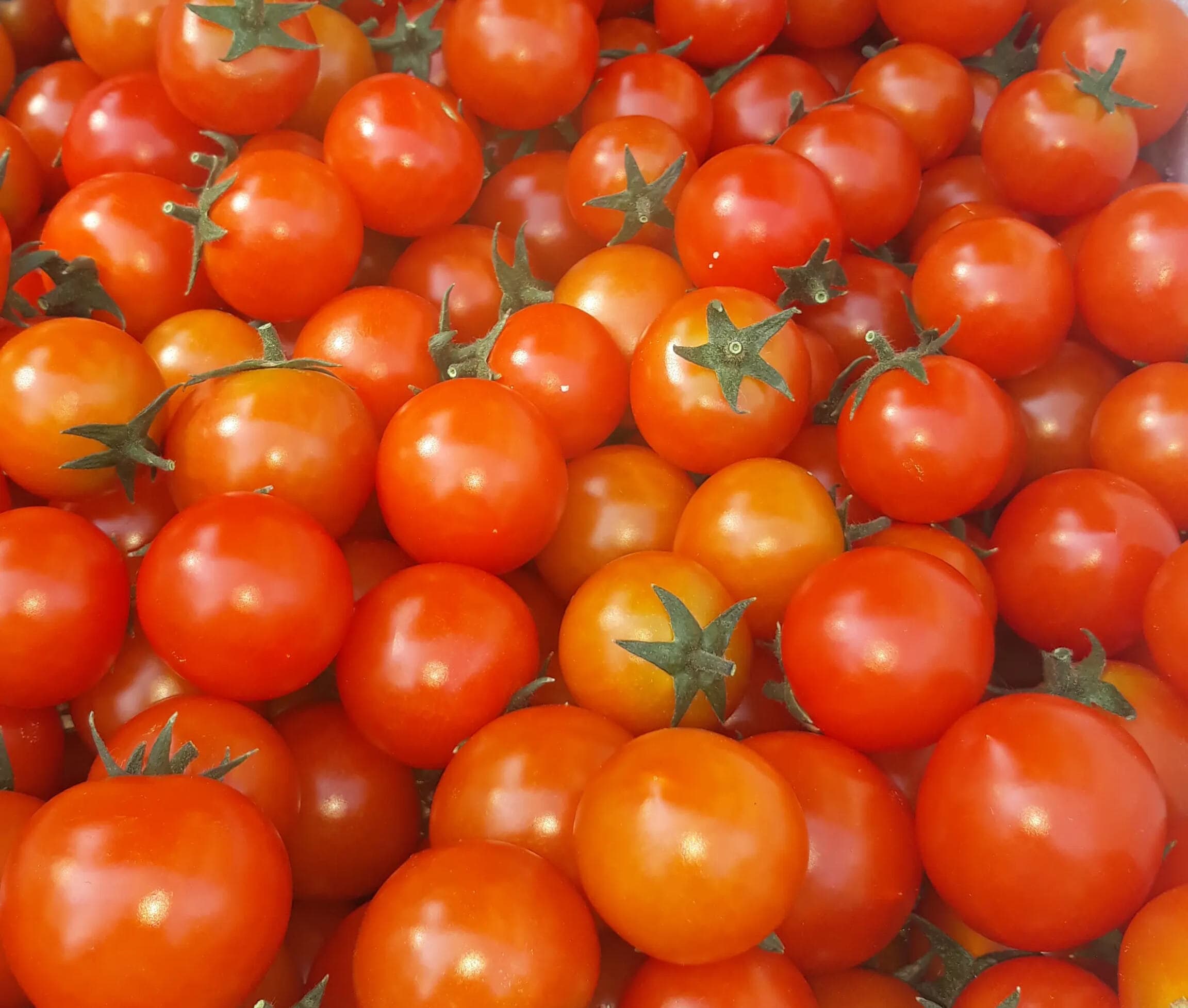 image of vegetables and fruit